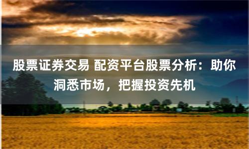 股票证券交易 配资平台股票分析:助你洞悉市场,把握投资先机