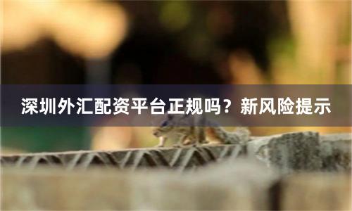 深圳外汇配资平台正规吗？新风险提示